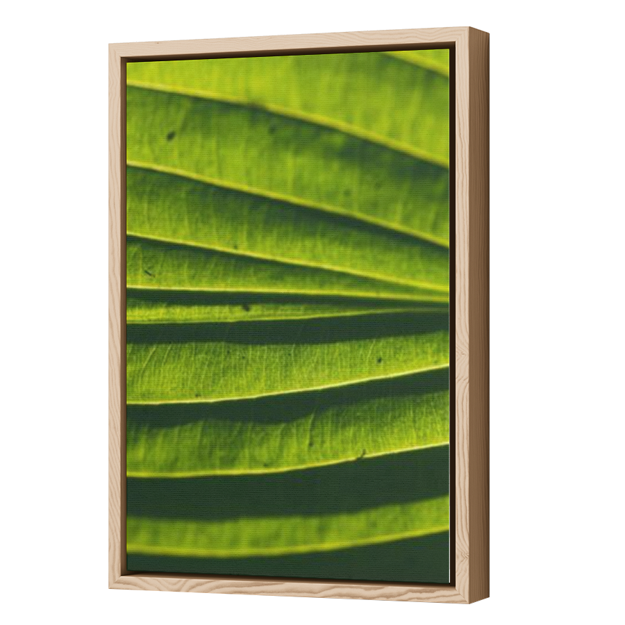 Thumbnail for Canvas - Wood Grain Floating Frame
