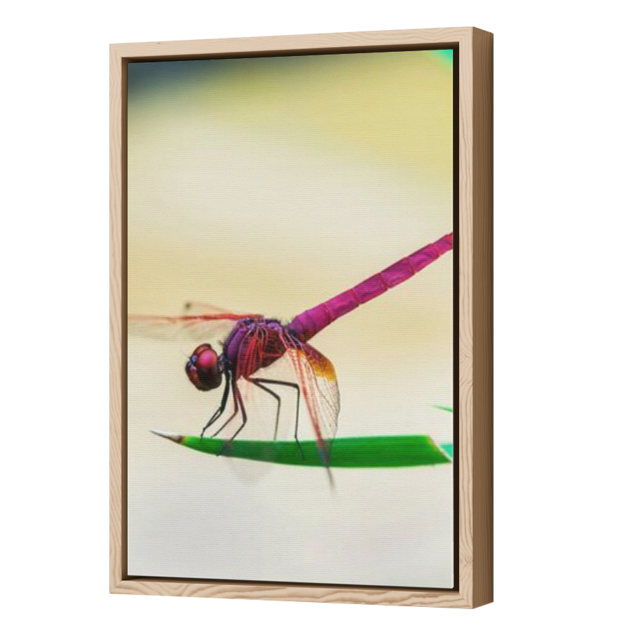 Thumbnail for Canvas - Wood Grain Floating Frame