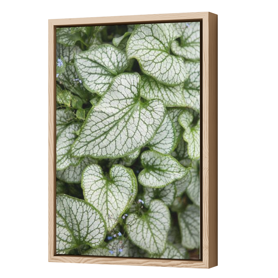 Thumbnail for Canvas - Wood Grain Floating Frame