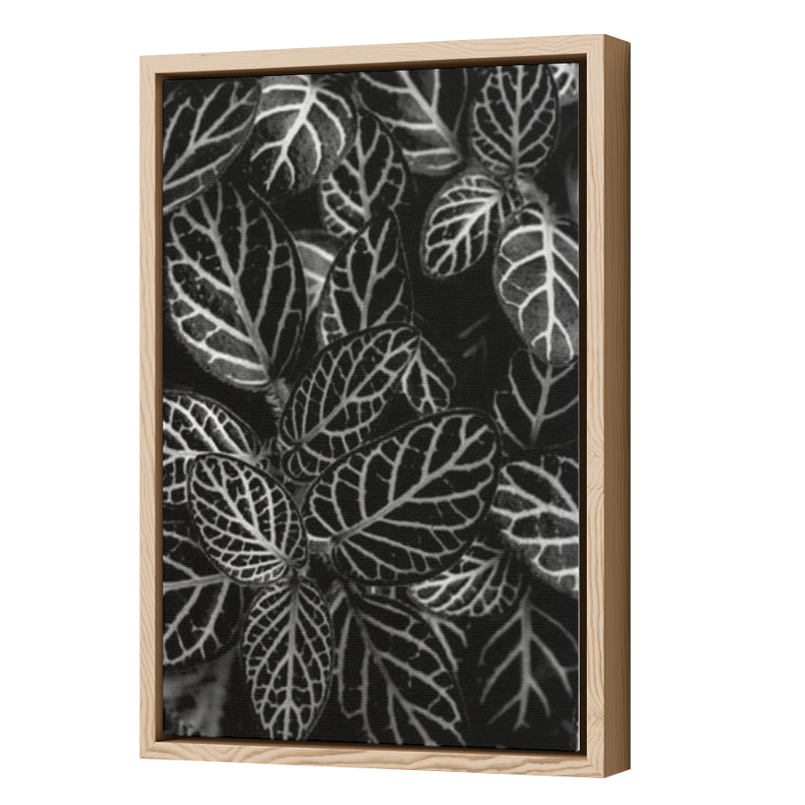 Thumbnail for Canvas - Wood Grain Floating Frame