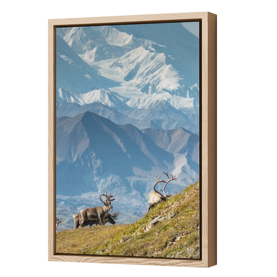 Thumbnail for Canvas - Wood Grain Floating Frame