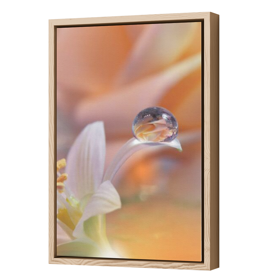 Thumbnail for Canvas - Wood Grain Floating Frame