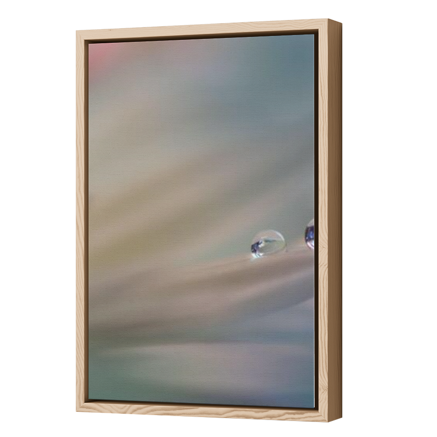 Thumbnail for Canvas - Wood Grain Floating Frame