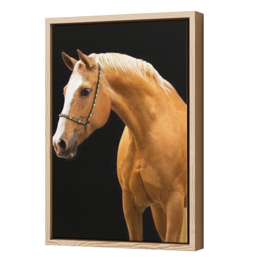 Thumbnail for Canvas - Wood Grain Floating Frame