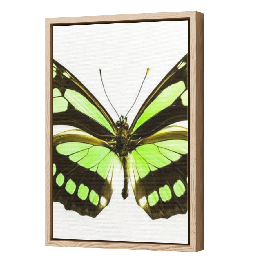 Thumbnail for Canvas - Wood Grain Floating Frame