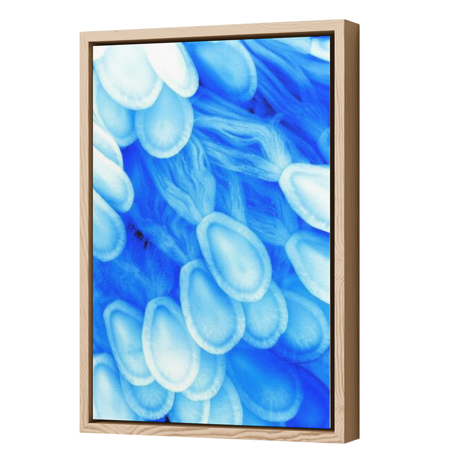 Thumbnail for Canvas - Wood Grain Floating Frame