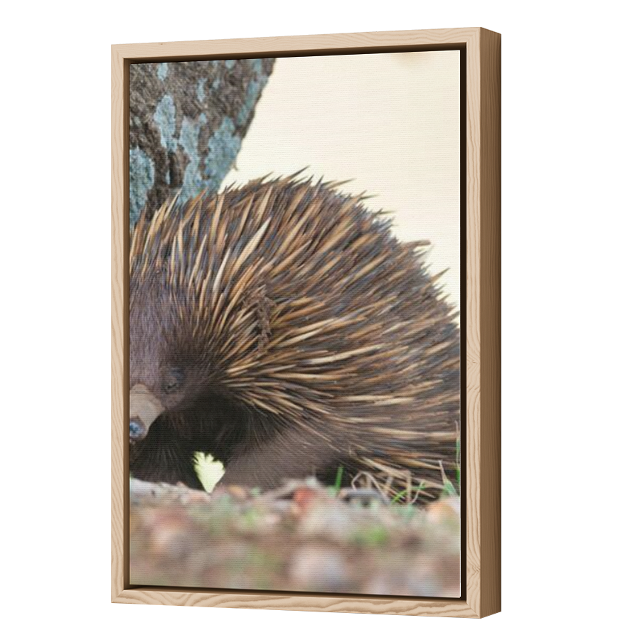 Thumbnail for Canvas - Wood Grain Floating Frame
