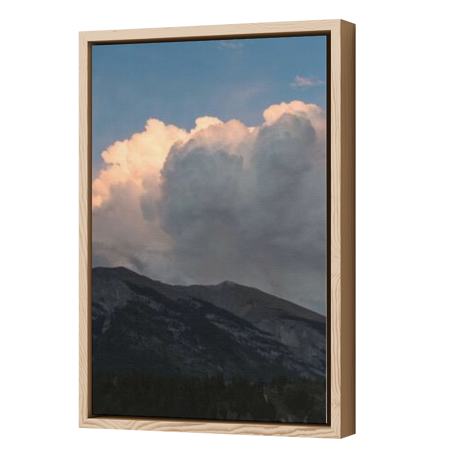 Thumbnail for Canvas - Wood Grain Floating Frame