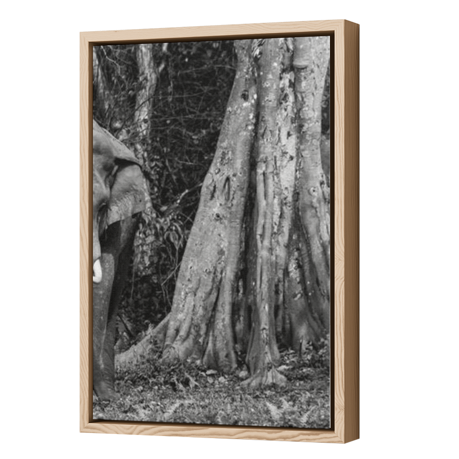 Thumbnail for Canvas - Wood Grain Floating Frame