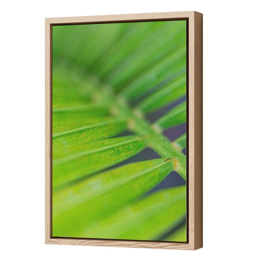 Thumbnail for Canvas - Wood Grain Floating Frame