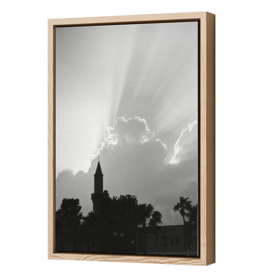 Thumbnail for Canvas - Wood Grain Floating Frame