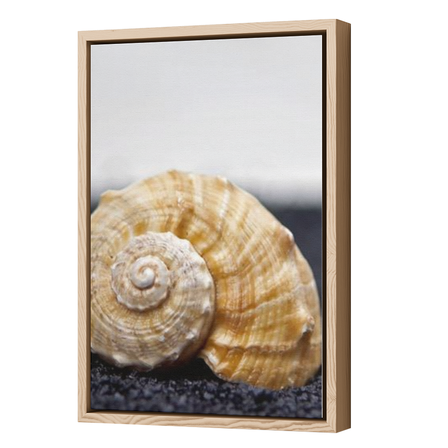 Thumbnail for Canvas - Wood Grain Floating Frame