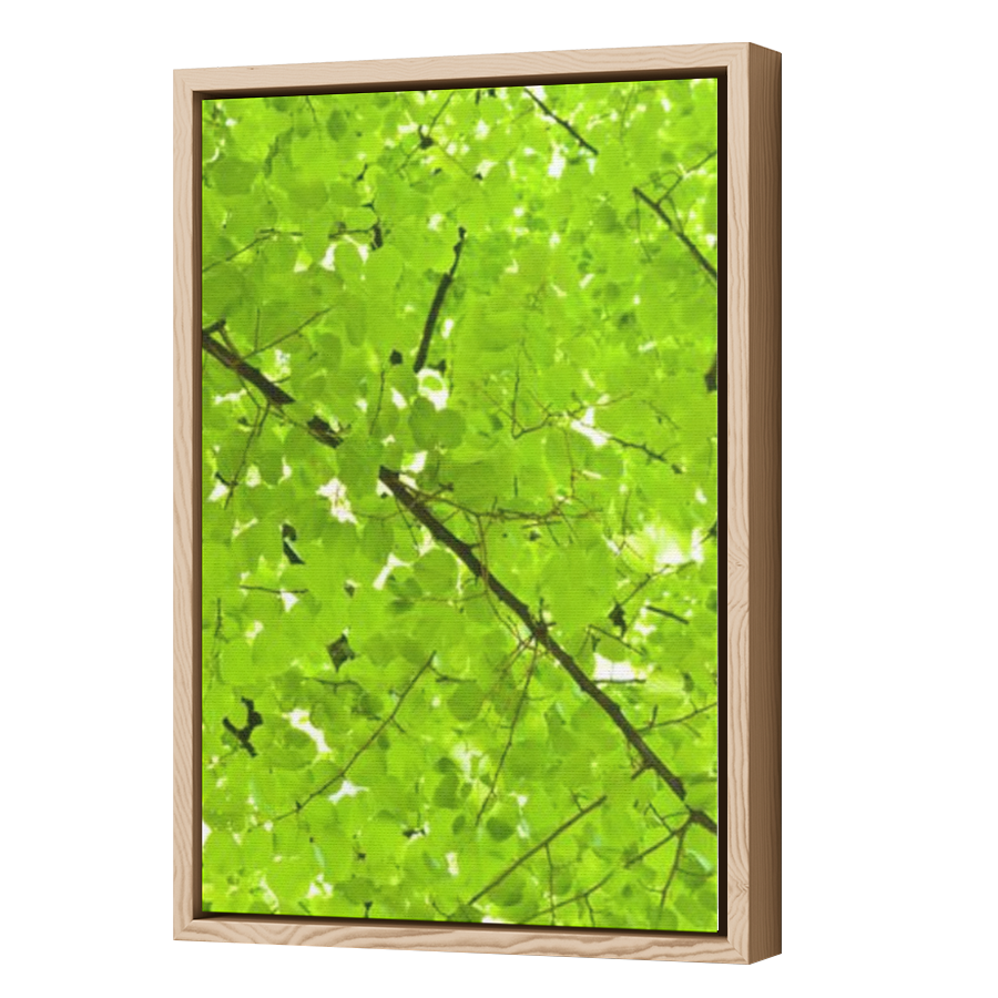 Thumbnail for Canvas - Wood Grain Floating Frame
