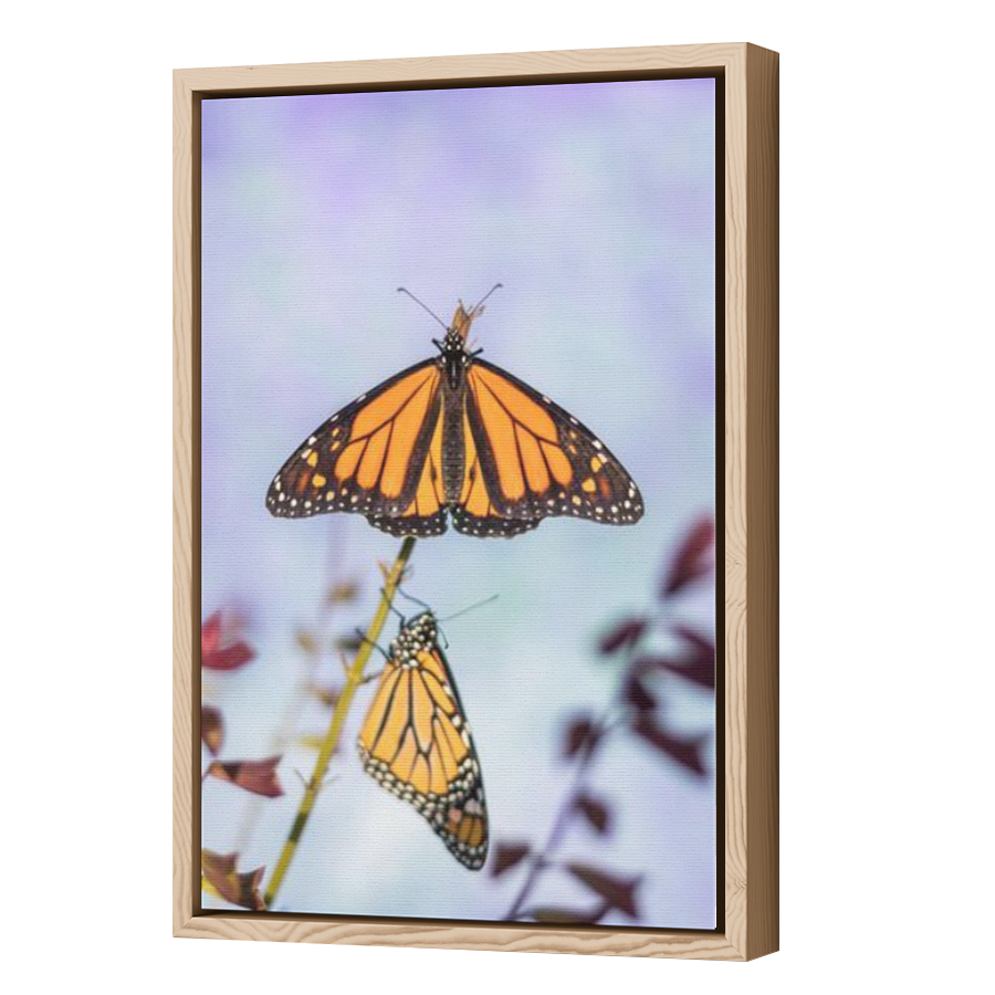Thumbnail for Canvas - Wood Grain Floating Frame