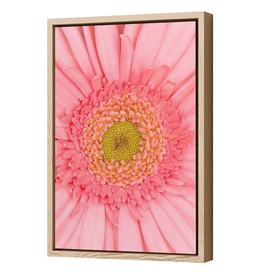 Thumbnail for Canvas - Wood Grain Floating Frame