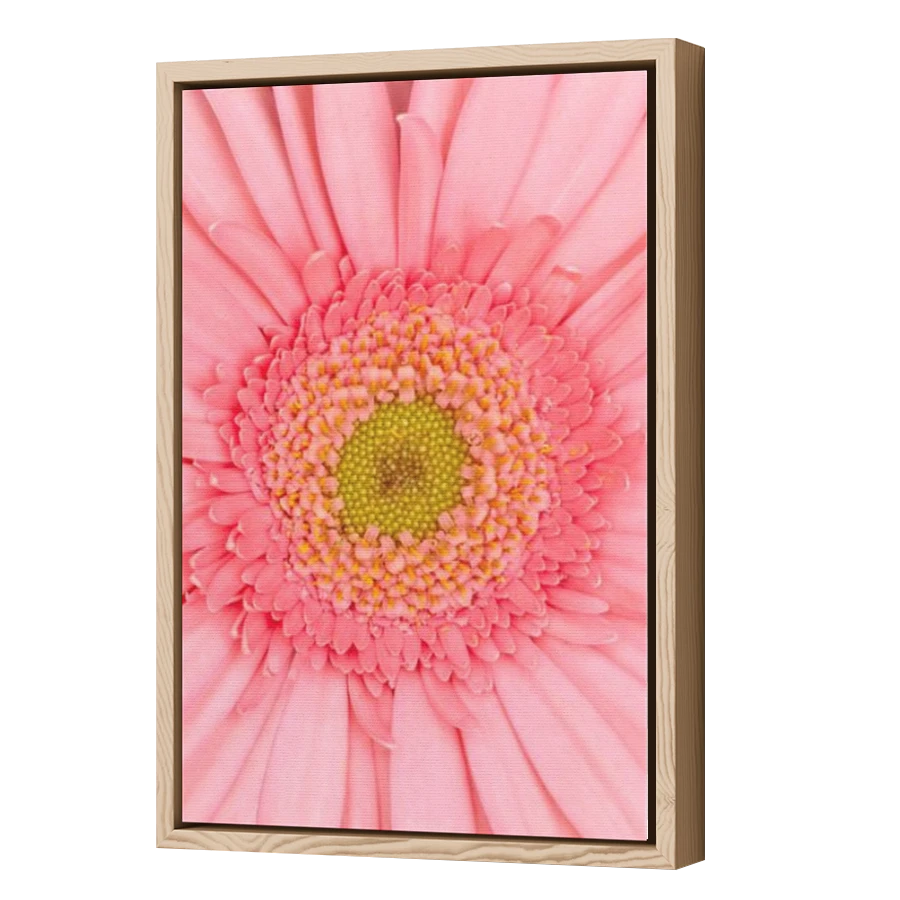Thumbnail for Canvas - Wood Grain Floating Frame