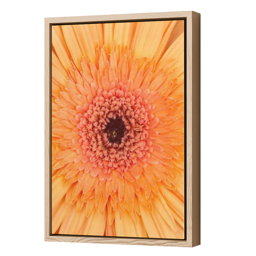 Thumbnail for Canvas - Wood Grain Floating Frame