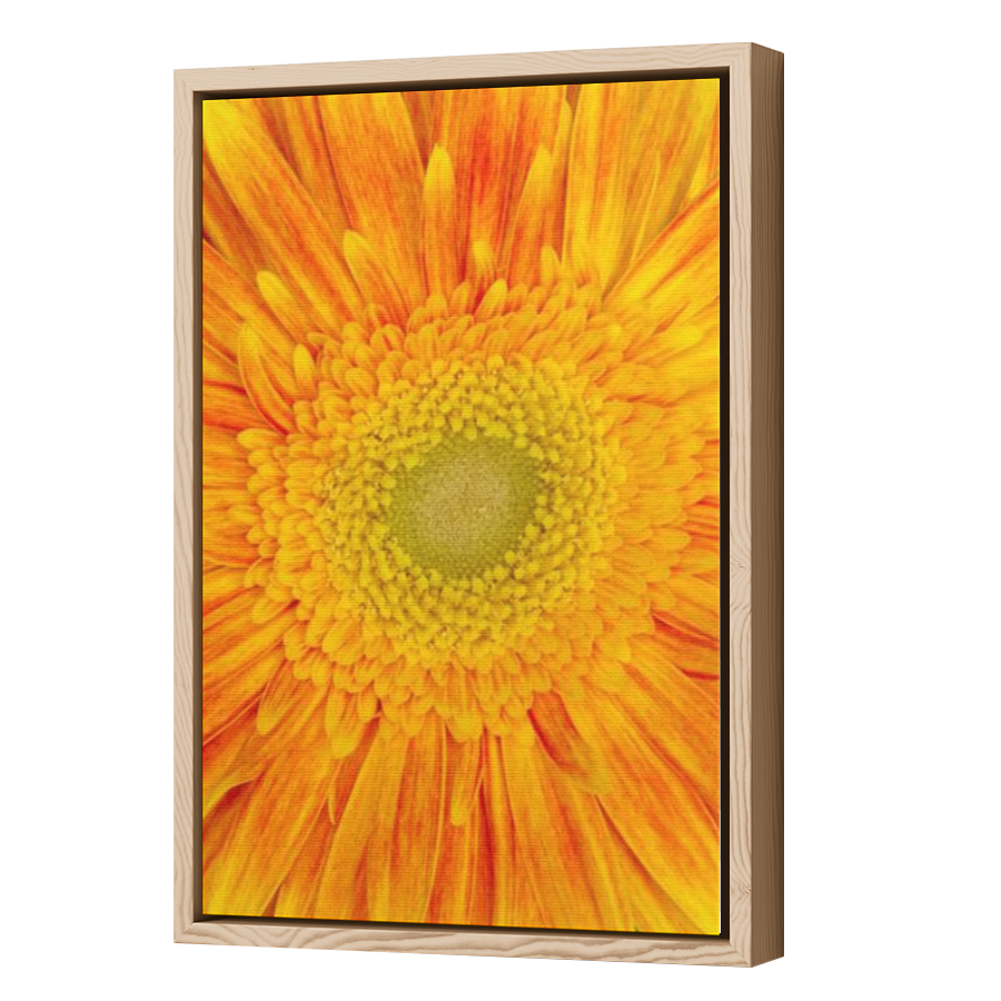 Thumbnail for Canvas - Wood Grain Floating Frame