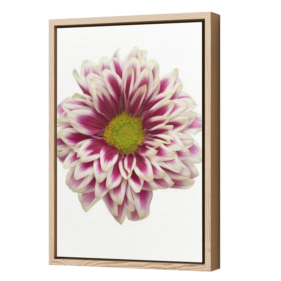 Thumbnail for Canvas - Wood Grain Floating Frame