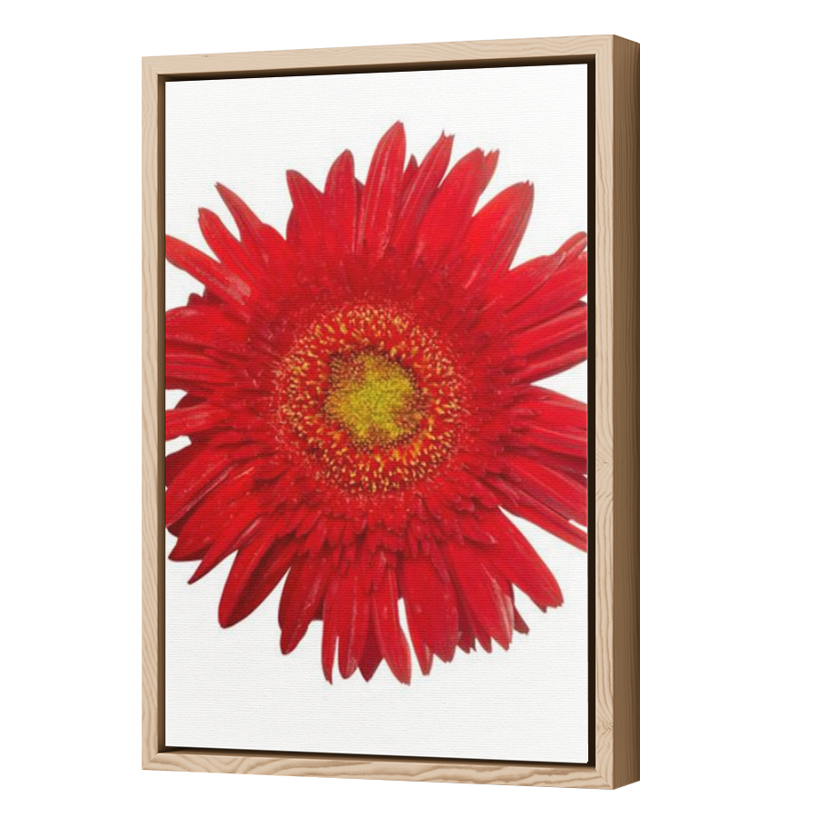 Thumbnail for Canvas - Wood Grain Floating Frame