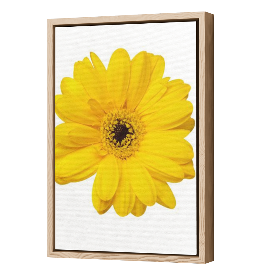 Thumbnail for Canvas - Wood Grain Floating Frame