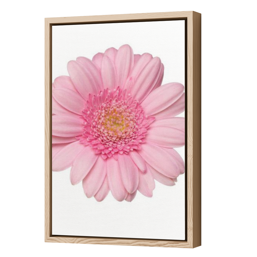 Thumbnail for Canvas - Wood Grain Floating Frame