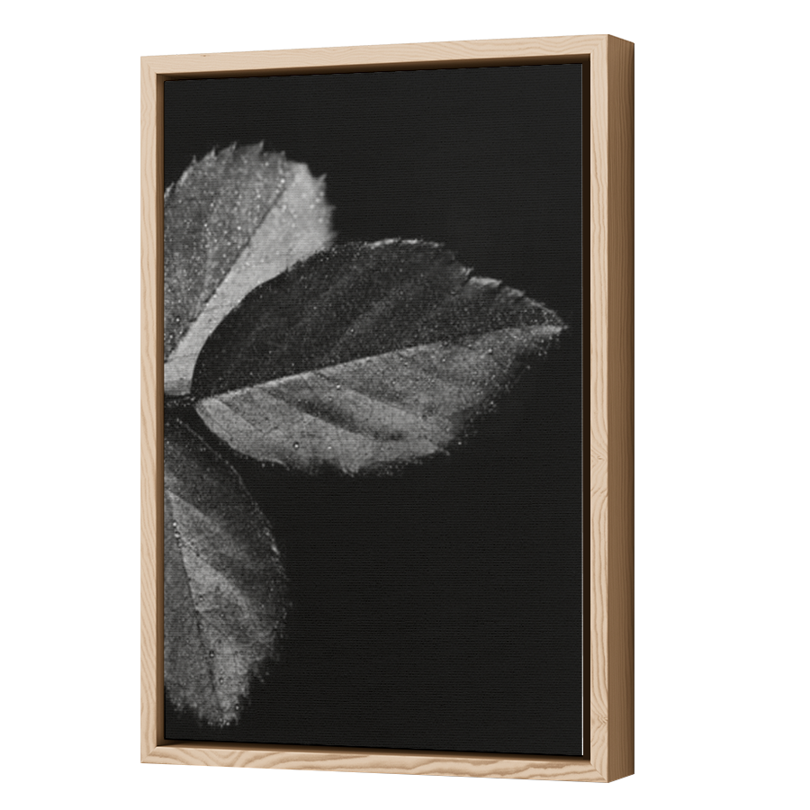 Thumbnail for Canvas - Wood Grain Floating Frame