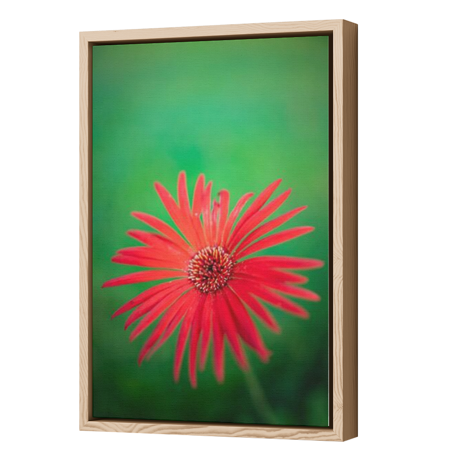 Thumbnail for Canvas - Wood Grain Floating Frame