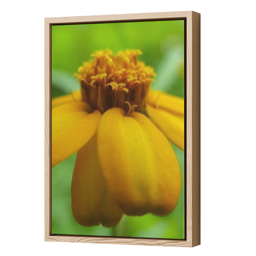 Thumbnail for Canvas - Wood Grain Floating Frame