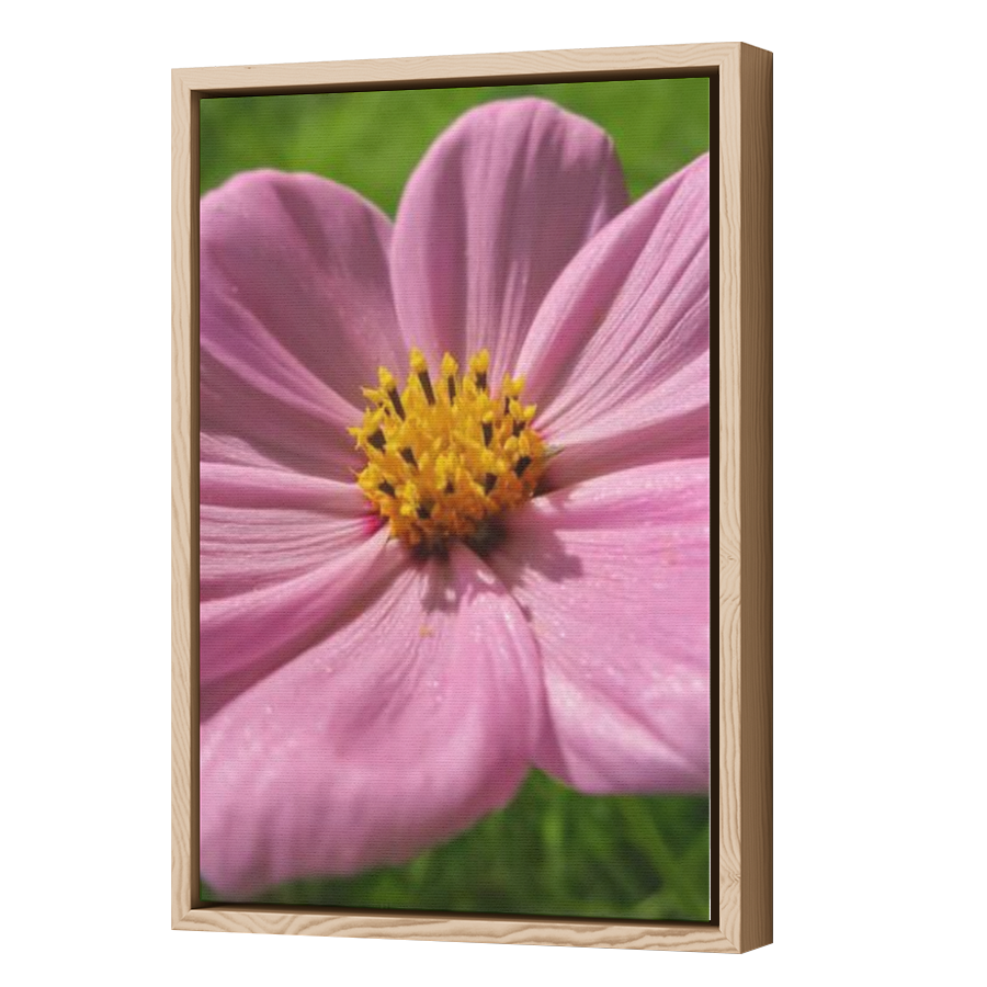 Thumbnail for Canvas - Wood Grain Floating Frame