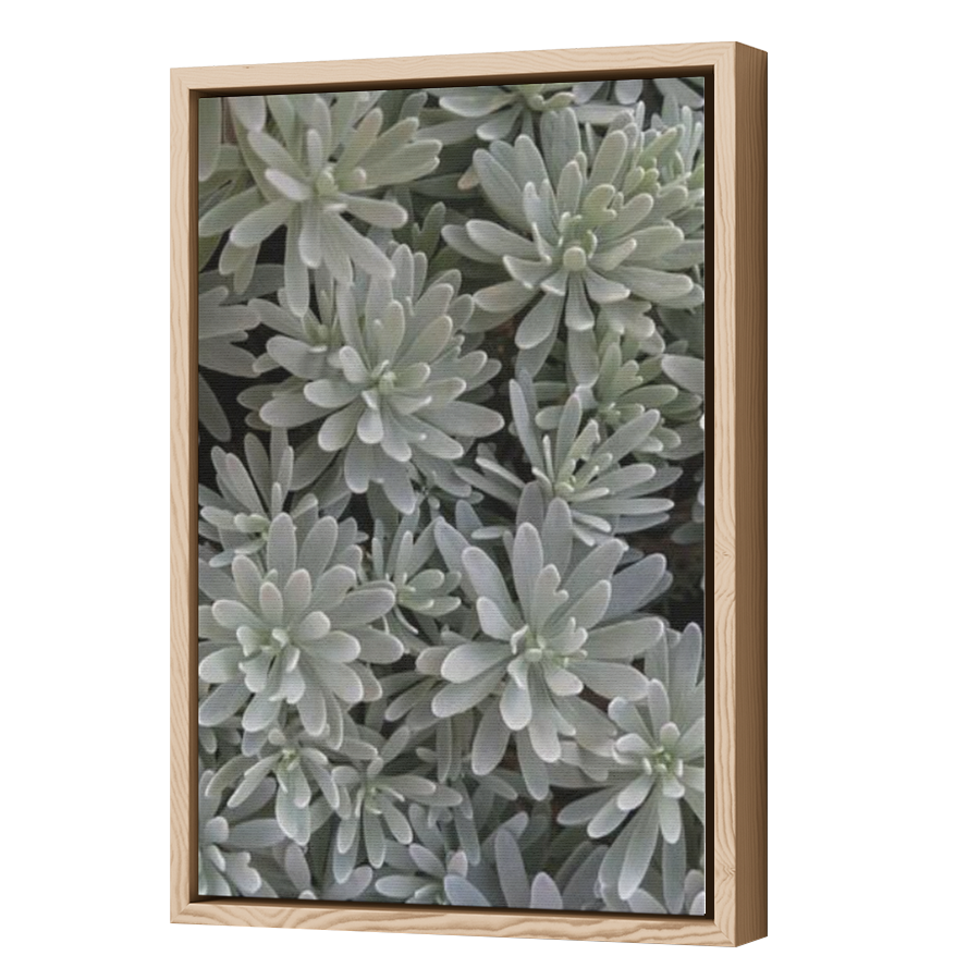Thumbnail for Canvas - Wood Grain Floating Frame