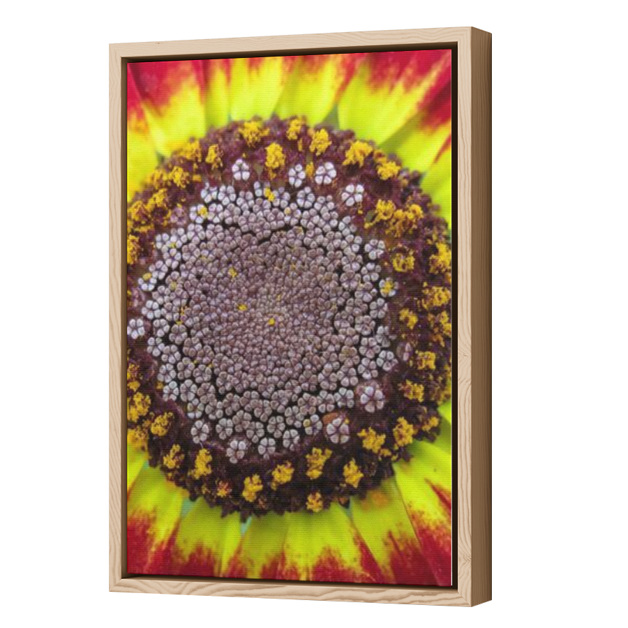 Thumbnail for Canvas - Wood Grain Floating Frame
