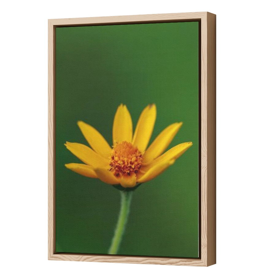 Thumbnail for Canvas - Wood Grain Floating Frame
