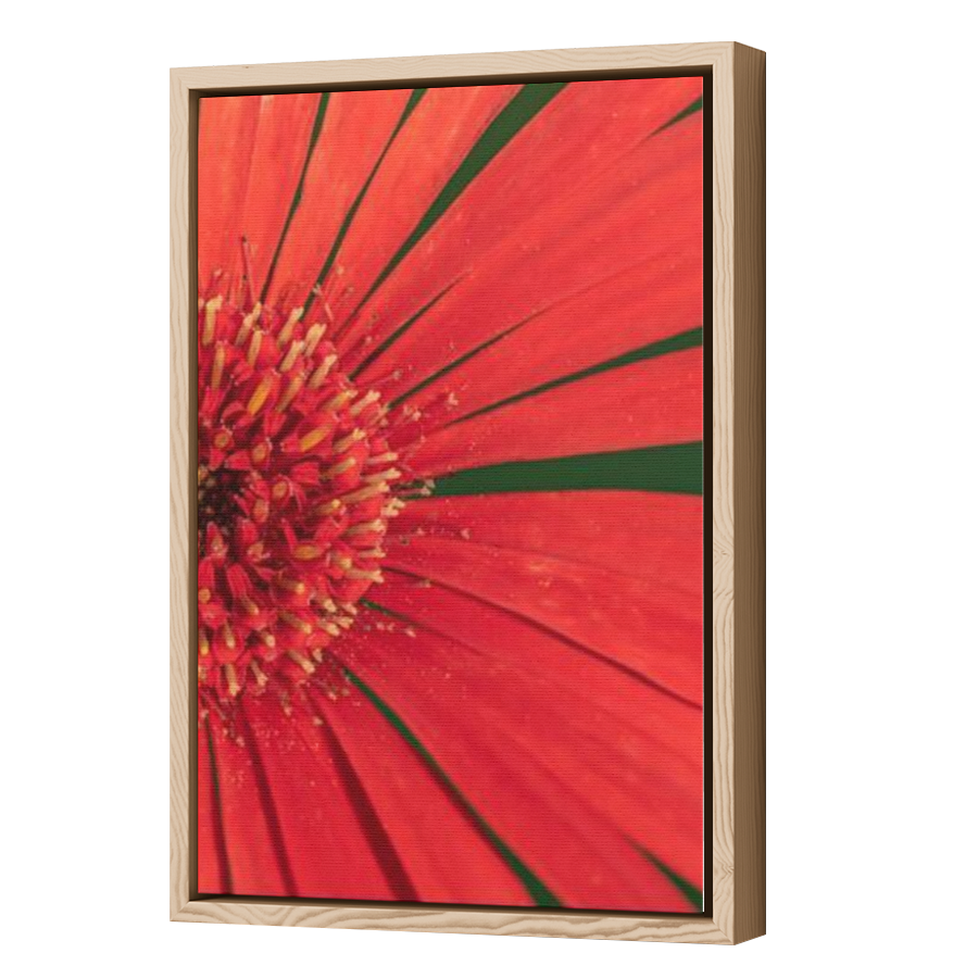 Thumbnail for Canvas - Wood Grain Floating Frame