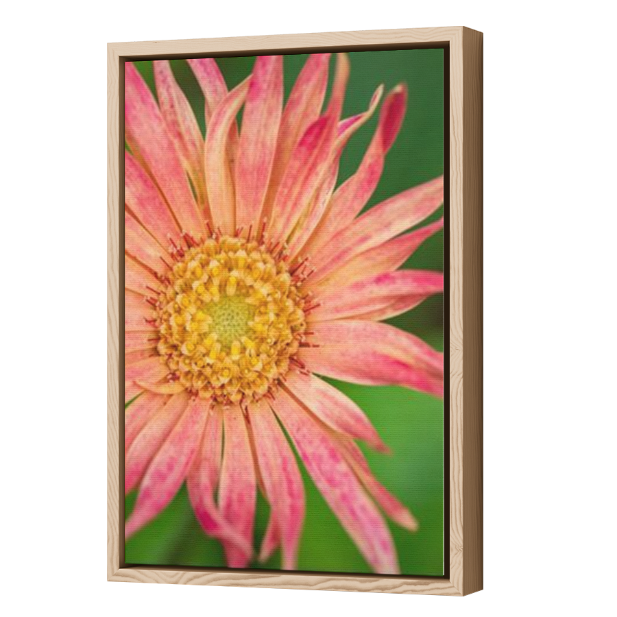 Thumbnail for Canvas - Wood Grain Floating Frame