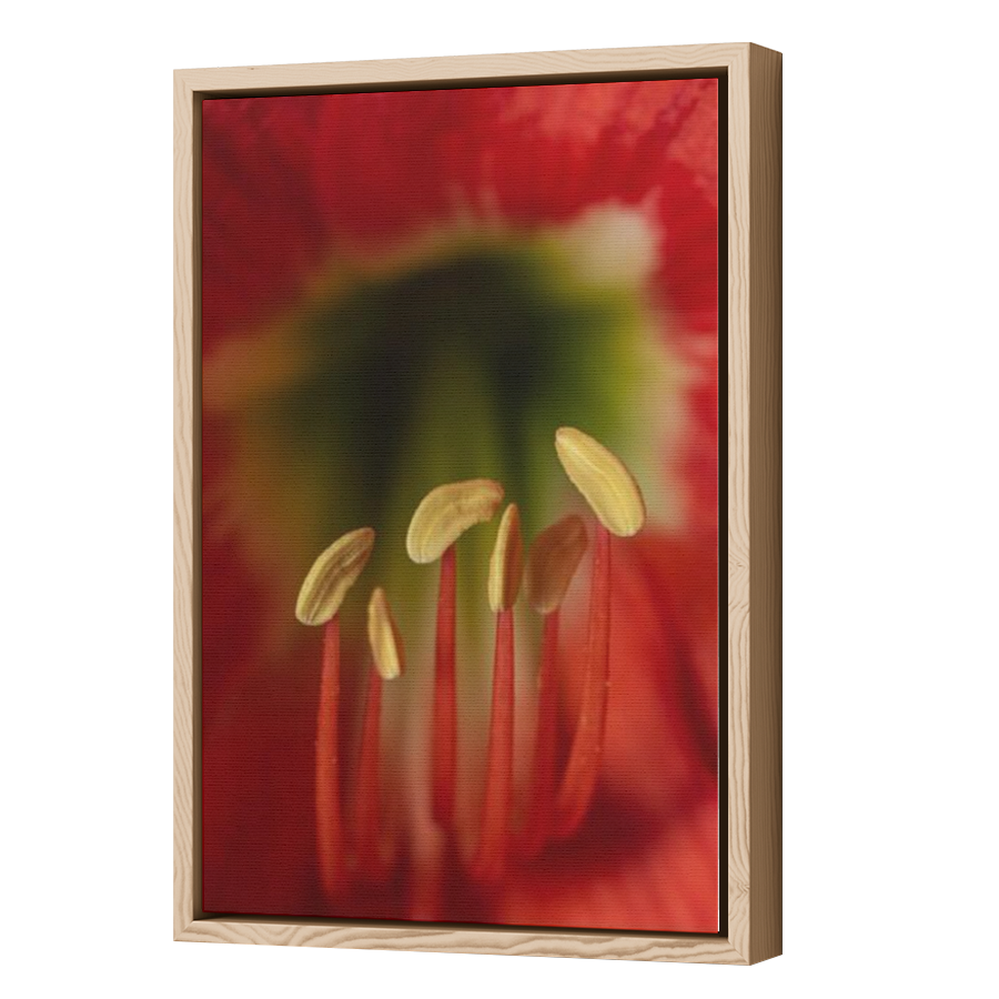 Thumbnail for Canvas - Wood Grain Floating Frame