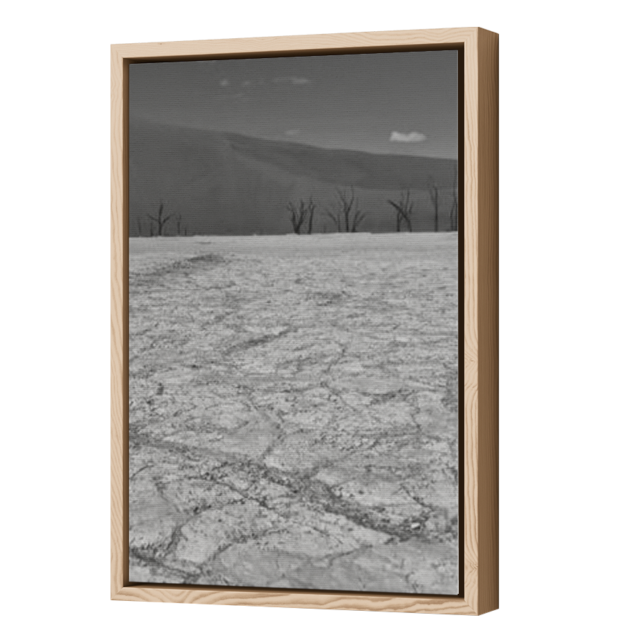 Thumbnail for Canvas - Wood Grain Floating Frame
