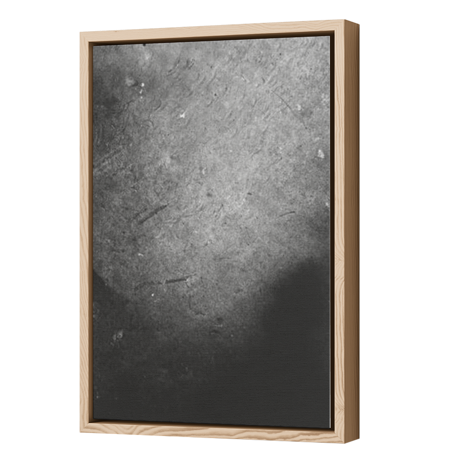 Thumbnail for Canvas - Wood Grain Floating Frame