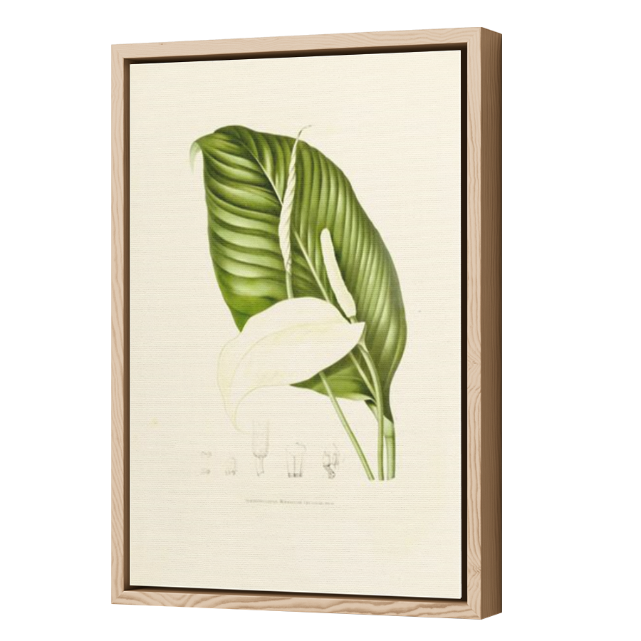 Thumbnail for Canvas - Wood Grain Floating Frame