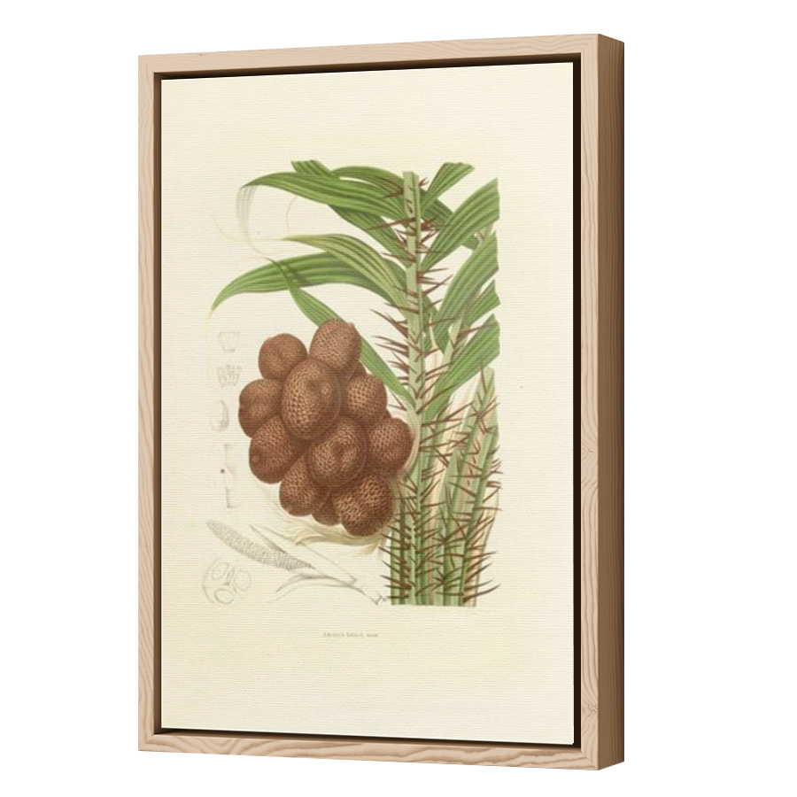 Thumbnail for Canvas - Wood Grain Floating Frame