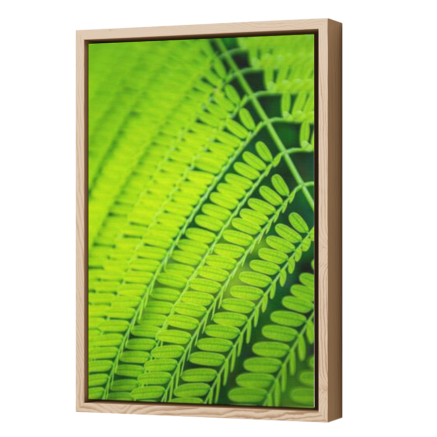 Thumbnail for Canvas - Wood Grain Floating Frame