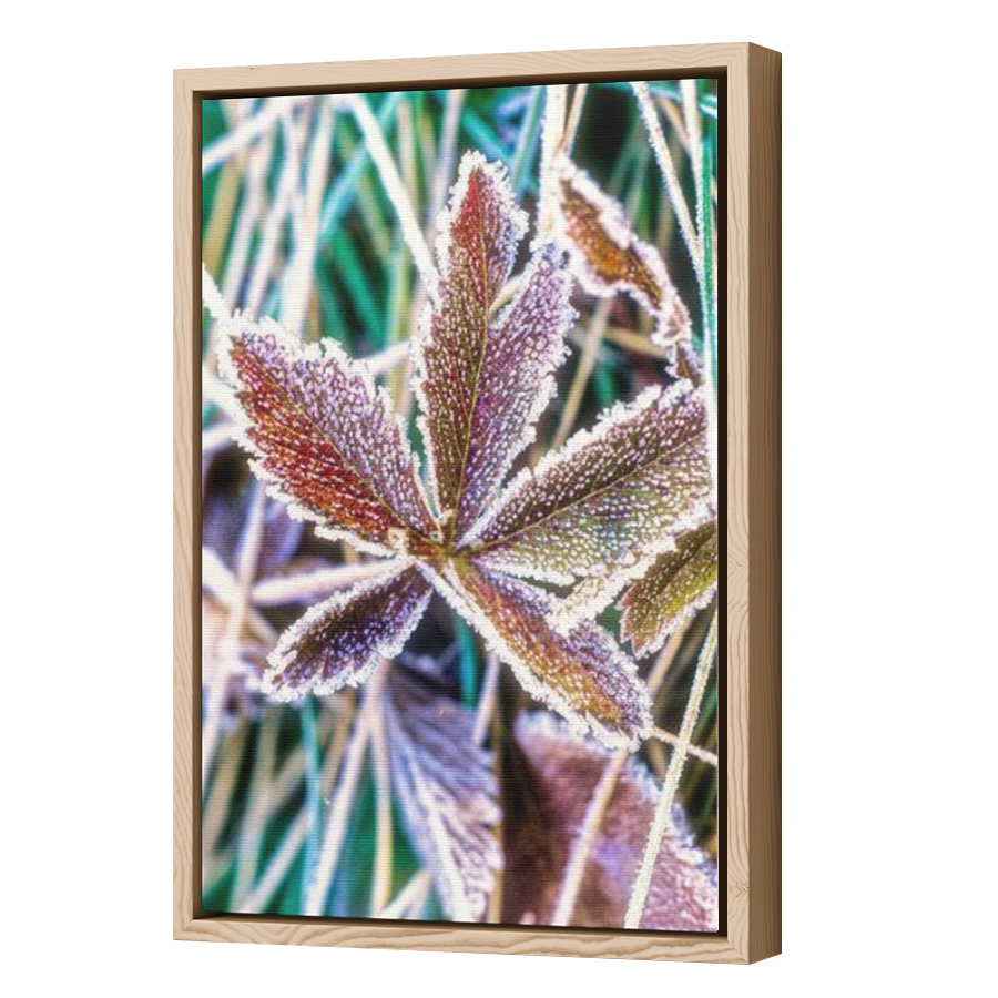 Thumbnail for Canvas - Wood Grain Floating Frame