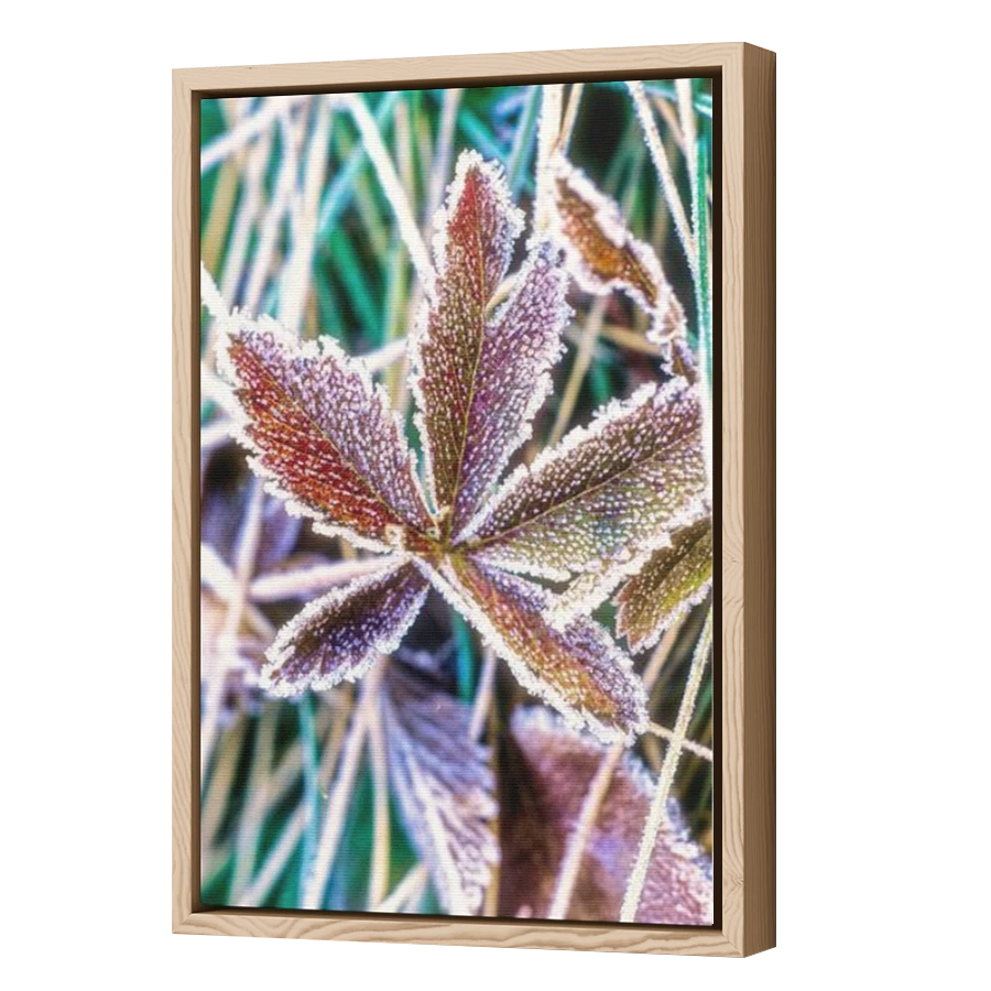 Thumbnail for Canvas - Wood Grain Floating Frame