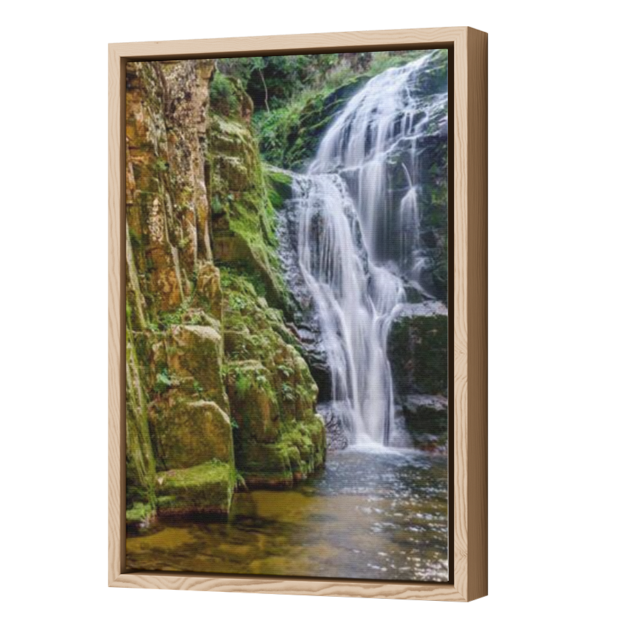Thumbnail for Canvas - Wood Grain Floating Frame