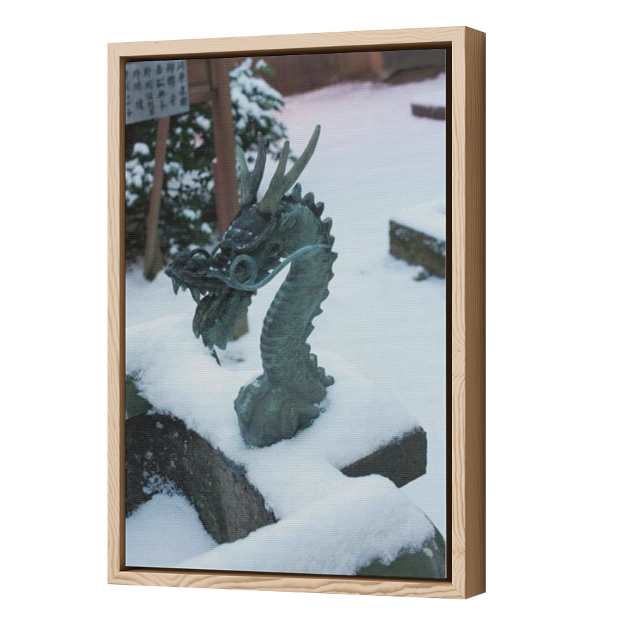 Thumbnail for Canvas - Wood Grain Floating Frame