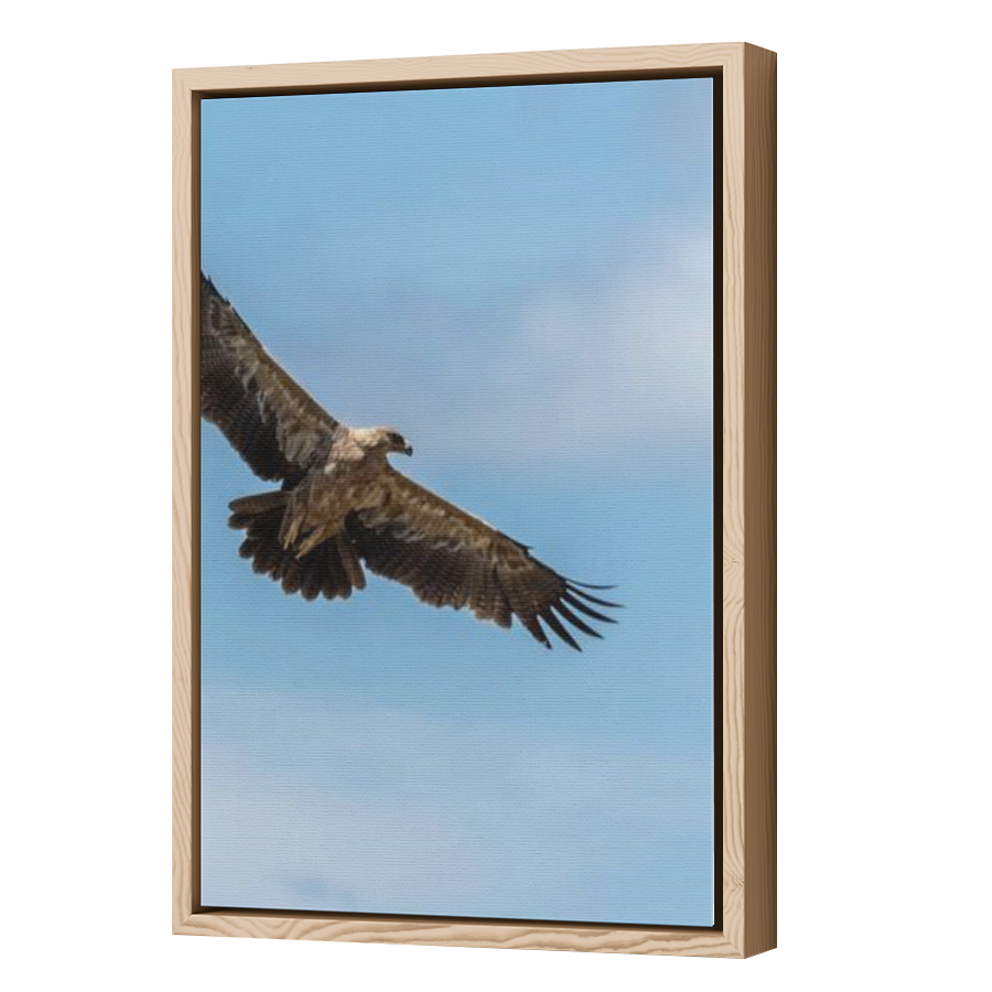 Thumbnail for Canvas - Wood Grain Floating Frame