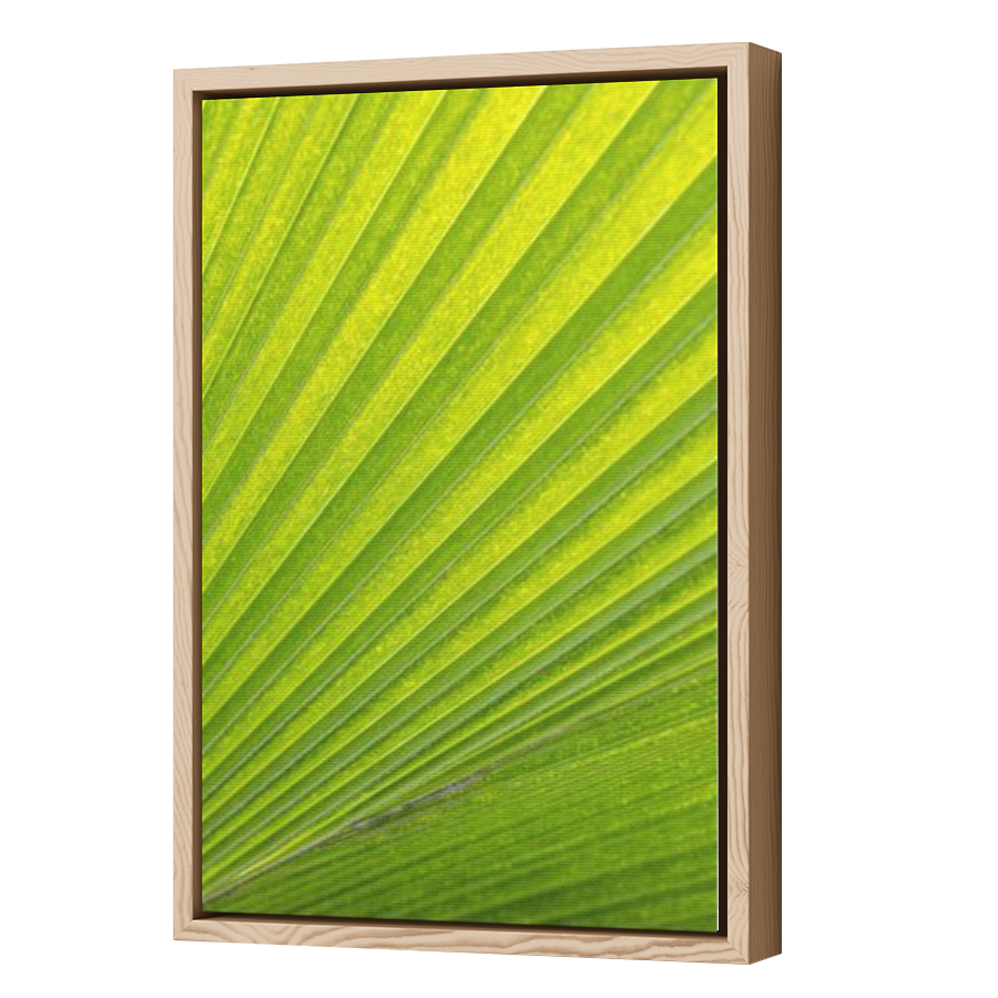 Thumbnail for Canvas - Wood Grain Floating Frame