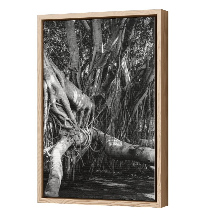 Thumbnail for Canvas - Wood Grain Floating Frame