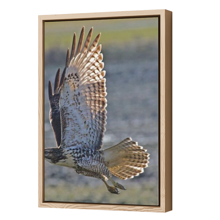 Thumbnail for Canvas - Wood Grain Floating Frame