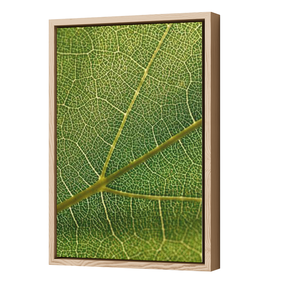 Thumbnail for Canvas - Wood Grain Floating Frame